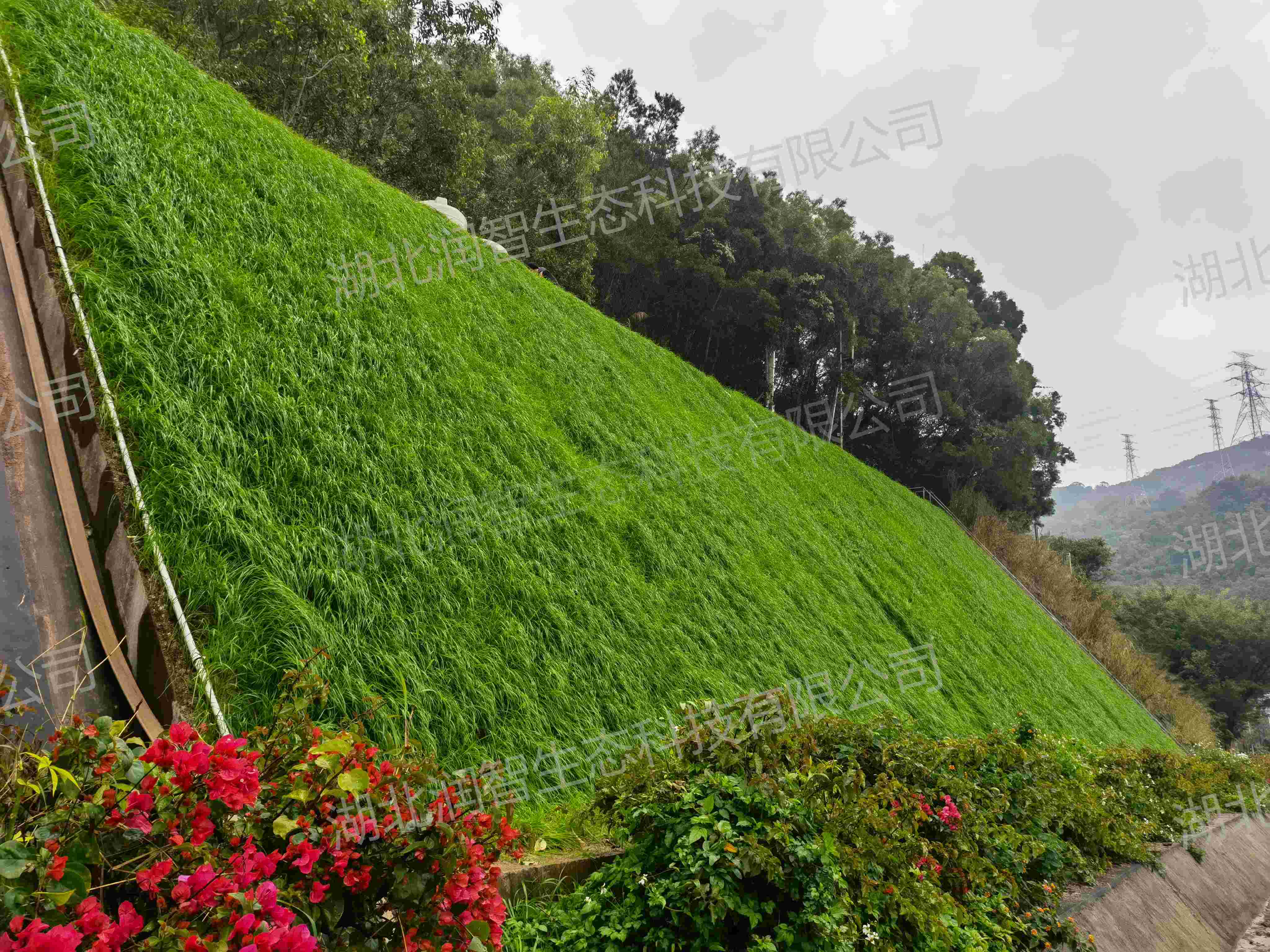 1743662212375000781.jpg 2022.2.17(1).jpg