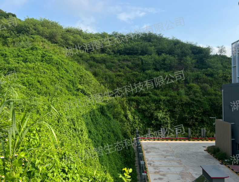 1747191275376040540.png image.png